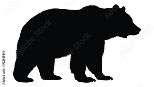 A striking silhouette of a brown bear standing in profile against a white background