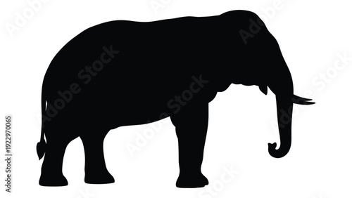 A striking silhouette of an african elephant depicted in solid black against white