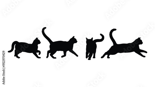 Silhouette of four cats in various walking and stretching poses against a white background