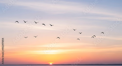 Sunset over ocean with flying birds.
