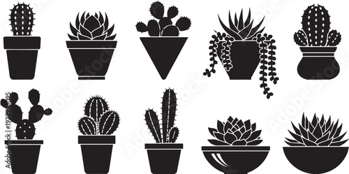 Desert Cactus and Succulent Silhouettes - Minimalist Nature Graphics