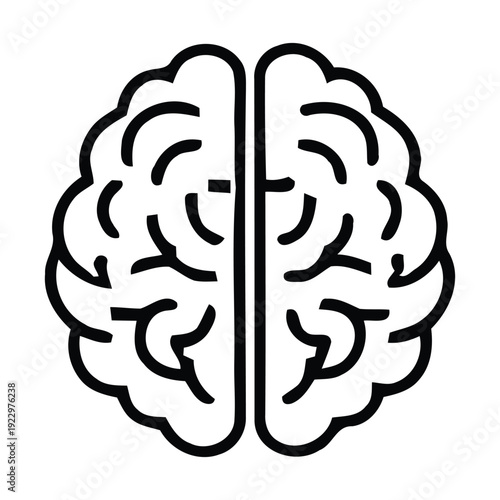 Brain icon illustration with detailed outline and sections  human cerebrum