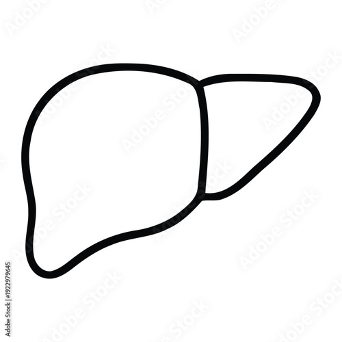 Anatomical outline of a human liver in black line art style