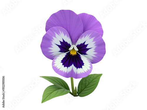 A vibrant purple and white flower surrounded by green leaves