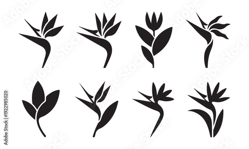 Collection of stylized bird of paradise flower icons in various orientations isolated on transparent background