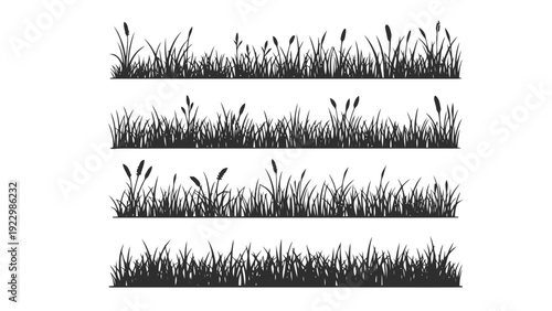 Vector illustration of set of four different black silhouette grass and weed borders on a transparent background