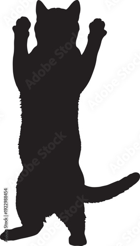 Silhouette of a happy cat standing on hind legs isolated on transparent background, Vector, illustration