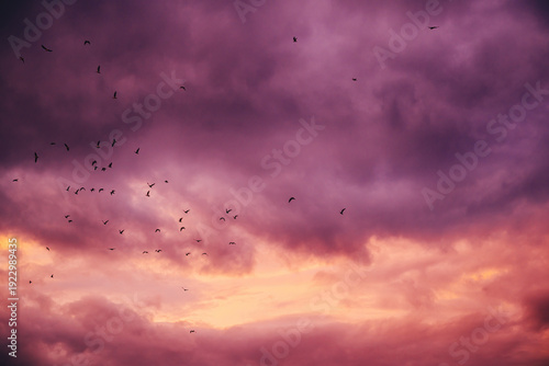 Flock of birds flying across dramatic purple and orange sunset sky with heavy clouds, atmospheric nature background symbolizing freedom, change, and migration.