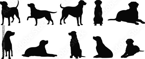 Dog, silhouettes, collection, pets, animals, breeds, standing, sitting, lying, black, isolated, vector, illustration, set, canine, icons, clipart, cute, domestic, shapes