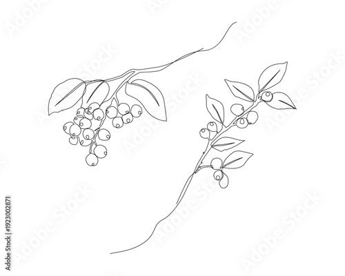 Minimalist botanical image set in modern single line style, perfect for coffee shop branding, organic product packaging, cafe logo, eco-friendly label, wall art print, etc.