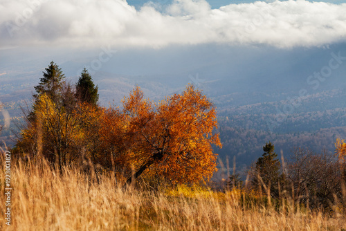 autumn in the mountains