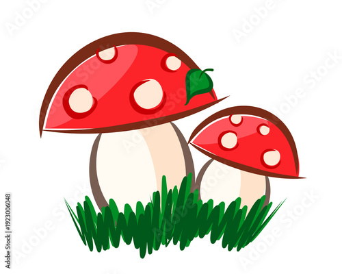 Drawing of a spring forest mushroom with a grass.