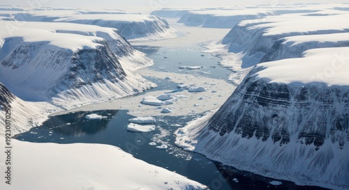 Aerial view of frozen arctic fjord surrounded by towering snow covered cliffs and drifting ice floes under pale winter sky, deep blue water contrasts white landscape. Concept of climate change and glo