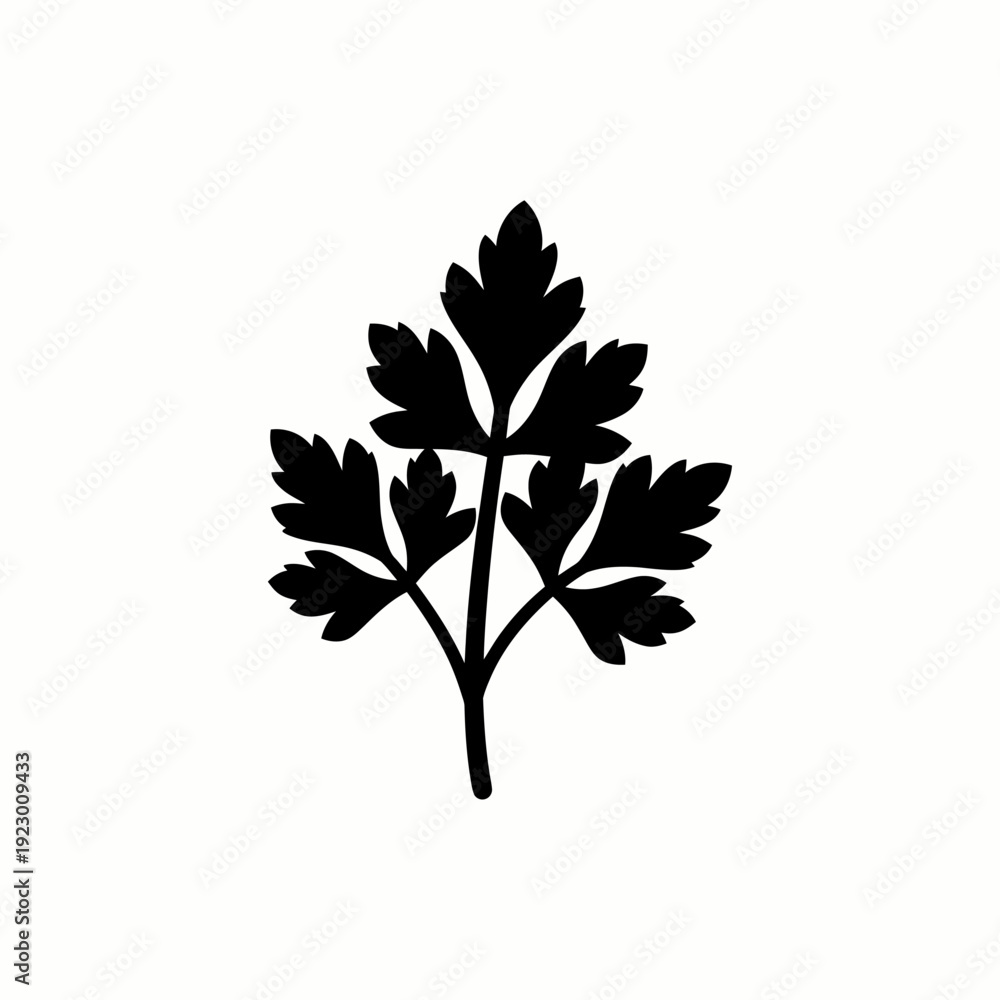 Fototapeta premium A detailed silhouette of a parsley leaf isolated on white