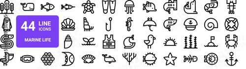 Set of 44 thin line marine and ocean life icons including seaweed, penguin, eel, dolphin, whale, shark, jellyfish. Vector outline illustration pack