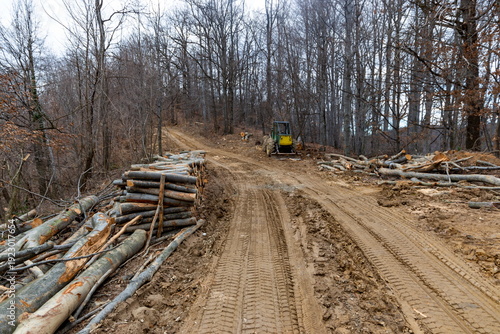 Heavy machinery on a muddy logging road in a mountainous beech forest in early spring.