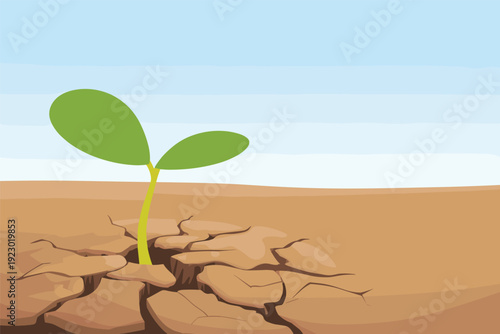 Small green plant sprouting from dry cracked earth