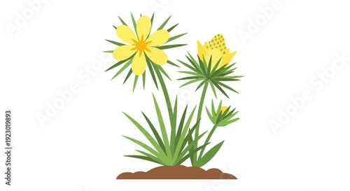 Illustration of blooming yellow flowers with green leaves and stems in soil from a front viewpoint
