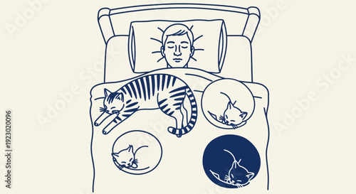 Illustration of a person sleeping peacefully with a cat in a serene bedroom environment from a top view