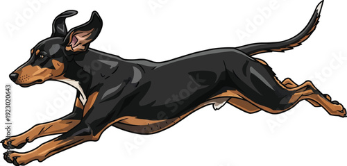 Transylvanian Hound dog running energetic athletic illustration
