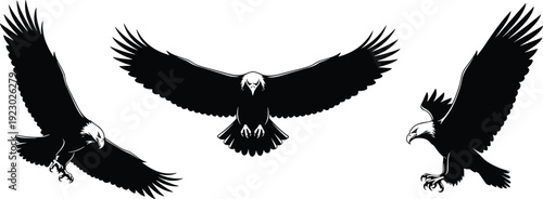 Bald eagle silhouettes set, flying eagle vector icons, majestic bird of prey graphics, predatory hawk symbols, american wildlife wings span.