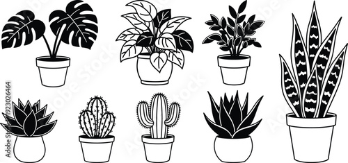 Hand Drawn Black and White Indoor House Plant Icon Set with Monstera, Cactus and Snake Plant in Pots