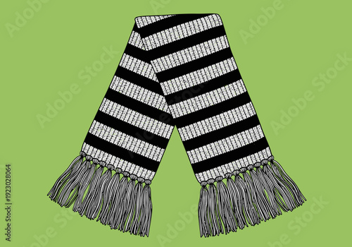 Black and White Striped Scarf with Fringe 6.