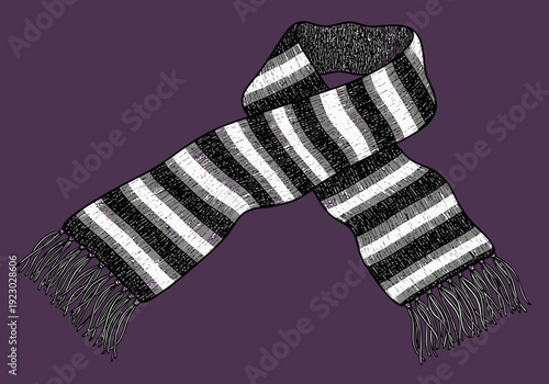 Striped knitted scarf with fringe.