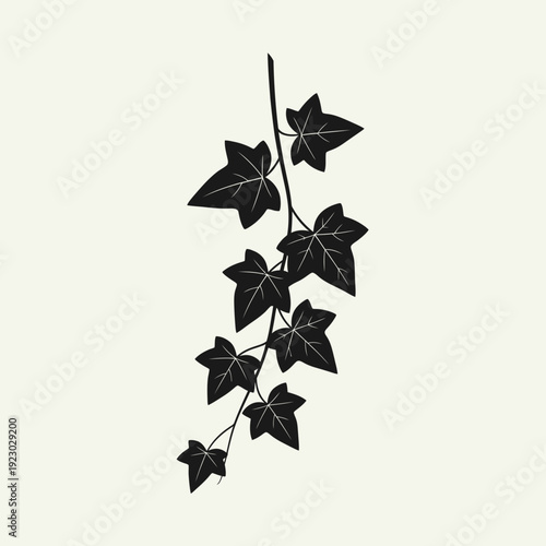Black Ivy Vine Silhouette on Cream Background.