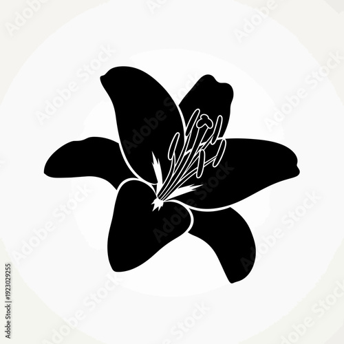 Black Silhouette of a Lily Flower.