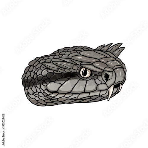 Close up of a Rattlesnake head illustration.