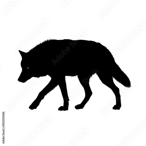 Black Silhouette of a Wolf Walking.