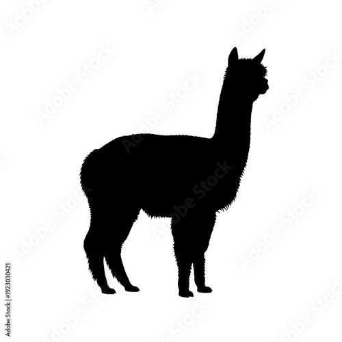 Black Silhouette of an Alpaca Standing Profile.