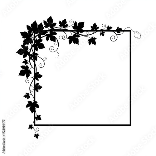 Black vine border with square frame.