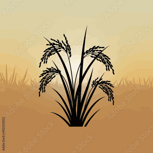 Silhouette of a Rice Plant in a Field at Sunset.