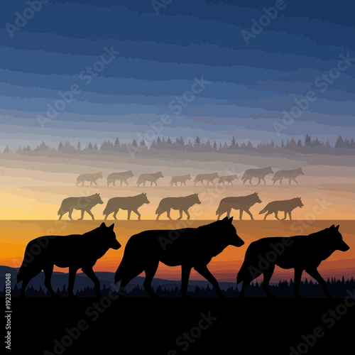 Silhouette of a wolf pack walking at sunset.