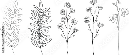 Black line of five different botanical plant leaf flower