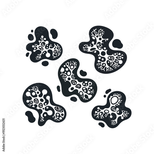 Abstract organic shapes with internal patterns.