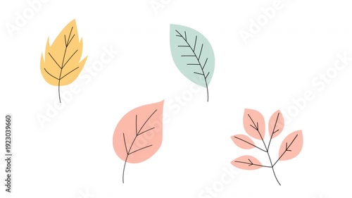 Four animated pastel leaves. 4k animation Perfect for spring themed designs, nature concepts, stationery, and botanical projects. alpha channel