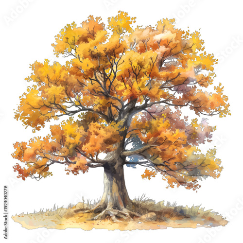 Watercolor autumn oak tree with golden yellow and orange foliage