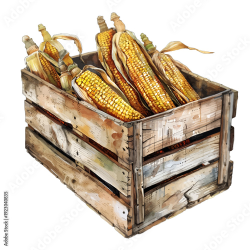 Watercolor autumn corn cobs in rustic wooden crate for fall harvest

