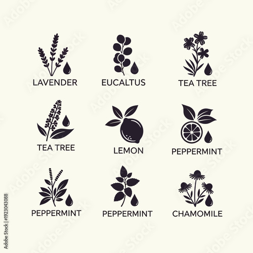 Collection of Essential Oil Plant Icons.