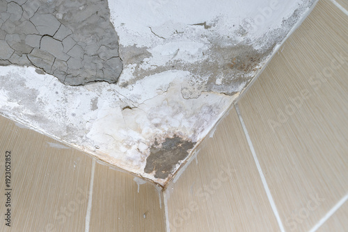 Bathroom ceiling damaged by excessive humidity and poor ventilation