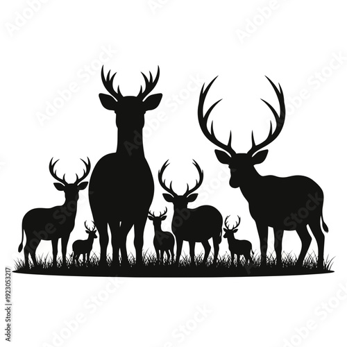 Silhouette of a Deer Family in a Field.