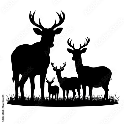 Silhouette of a Deer Family in a Meadow.