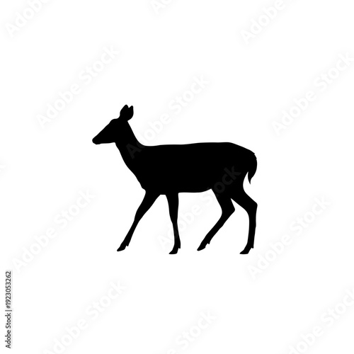 Silhouette of a Doe Walking.