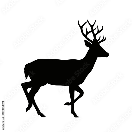 Silhouette of a Majestic Stag with Antlers.
