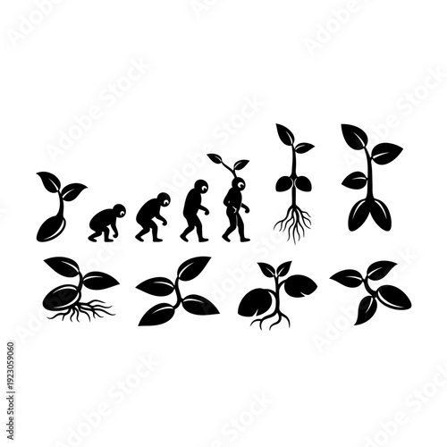 Evolution of Plants and Humans.
