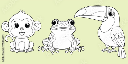 Cute cartoon monkey frog and toucan characters, black and white outline vector illustration, adorable jungle animals for kids coloring book