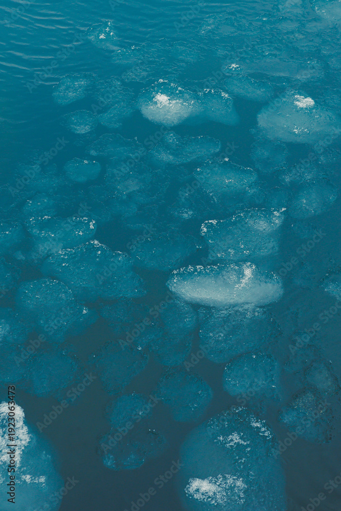 Fototapeta premium Ice formations float in clear water under bright light on a sunny day near a glacier